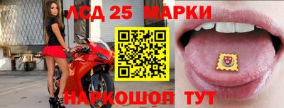 гидропоника Ярославль