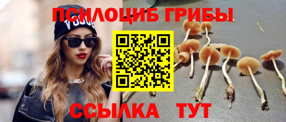 Галлюциногенные грибы Psilocybe  Вход с VPN  где можно купить   Усть-Джегута 