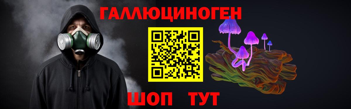 Псилоцибиновые грибы Psilocybine cubensis Усть-Джегута