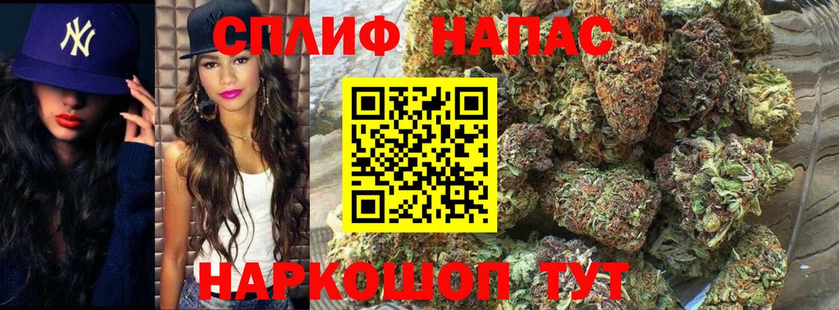 Канабис гибрид Усть-Джегута